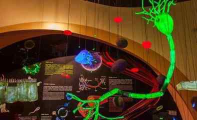 朱元晨與秦莉 在“造夢(mèng)科技”的工廠里編織未來(lái)